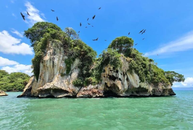Samana: Los Haitises National Park & Caño Hondo Day Tour - Final Thoughts: Who Should Sign Up?