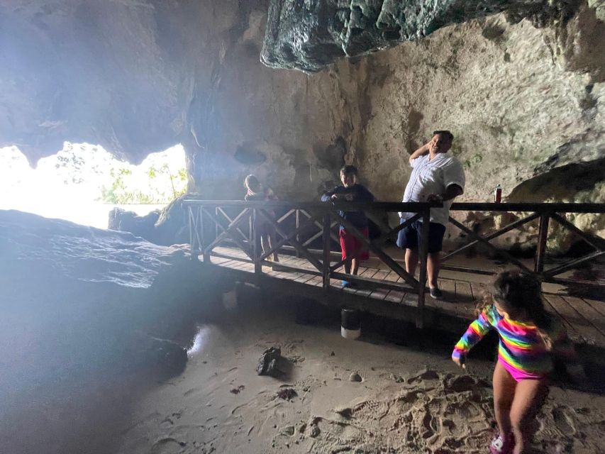 Samana: Los Haitises National Park + Cano Hondo - Highlights of the Excursion