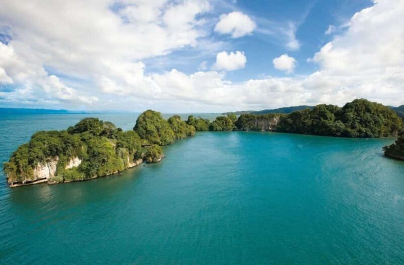 Samana: Los Haitises National Park & Cayo Levantado Tour - What travelers say