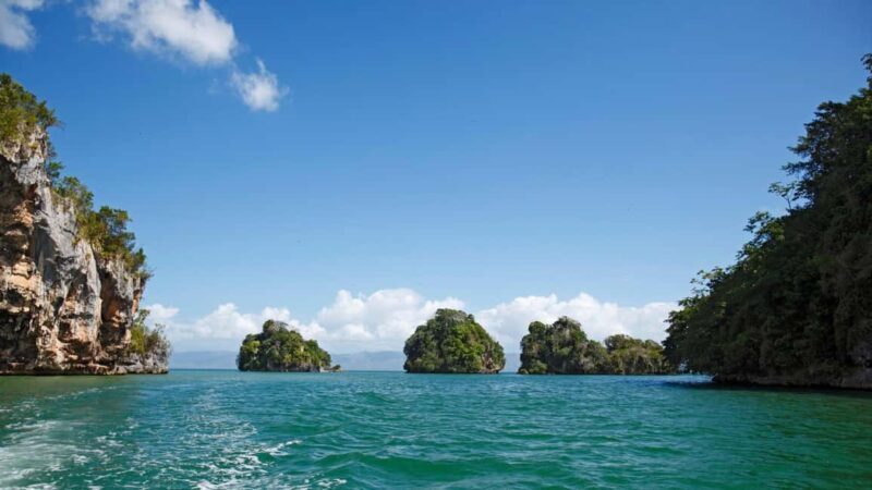 Samana: Los Haitises National Park & Cayo Levantado Tour - The value for your money