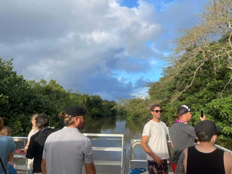 Samaná: Los Haitises Park & Yanigua Waterfall Private Tour - Practical Details and What to Expect
