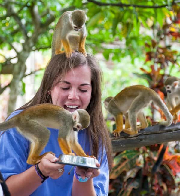 Samaná: Monkeyland and Open-Air Safari Truck Tour - Who Will Love This Tour?