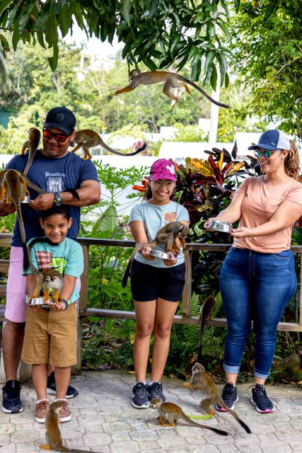 Samana: Monkeyland and Open-Air Safari Truck Tour - Key Points