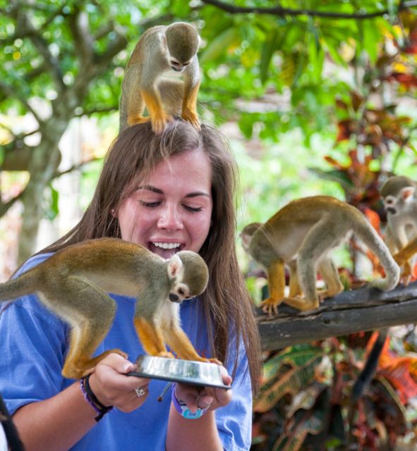 Samana: Monkeyland and Open-Air Safari Truck Tour - Whats Included in the Tour