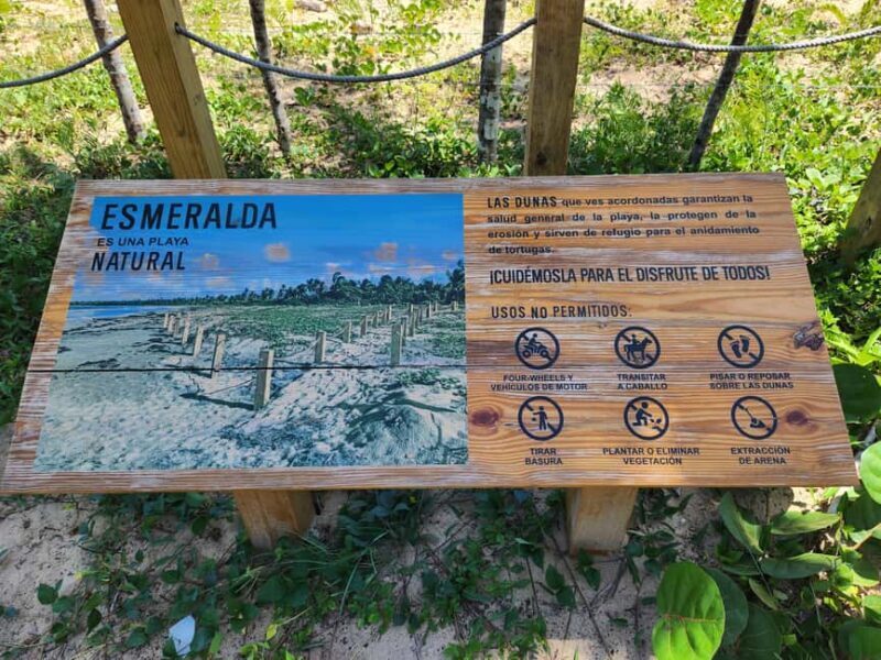 Samana: Montaña Redonda, Lunch, and Esmeralda Beach Tour - Relaxing at Playa Esmeralda