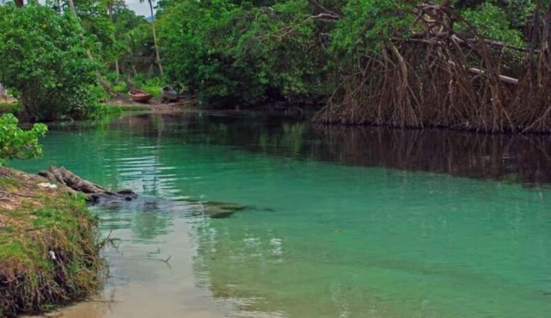 Samaná: Playa Rincón Safari Tour with Lunch & Drinks - Exploring the Samaná: Playa Rincón Safari Tour with Lunch & Drinks