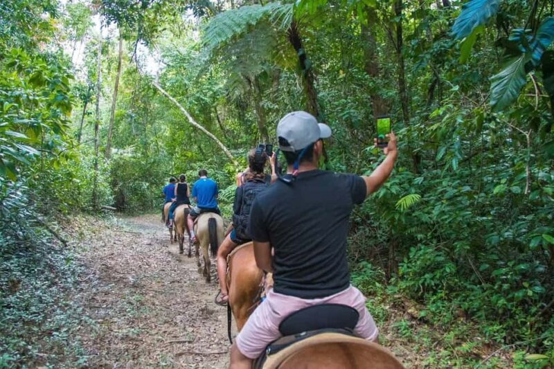 Samaná: Private Horseback Riding to El Limón Waterfall - The Journey Through Samaná’s Natural Beauty
