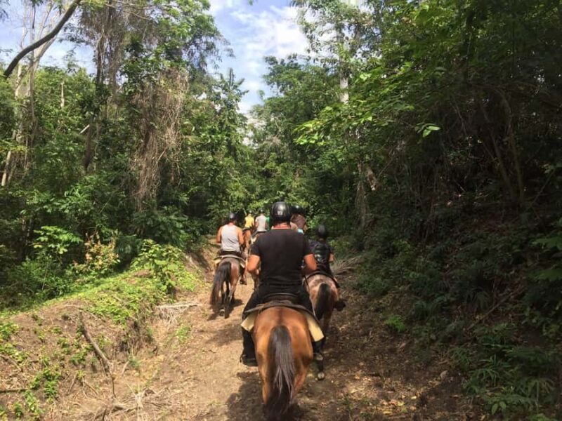 Samaná: Private Horseback Riding to El Limón Waterfall - Practical Details and What to Bring