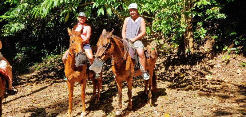Samaná: Private Horseback Riding to El Limón Waterfall - The Value and Overall Experience