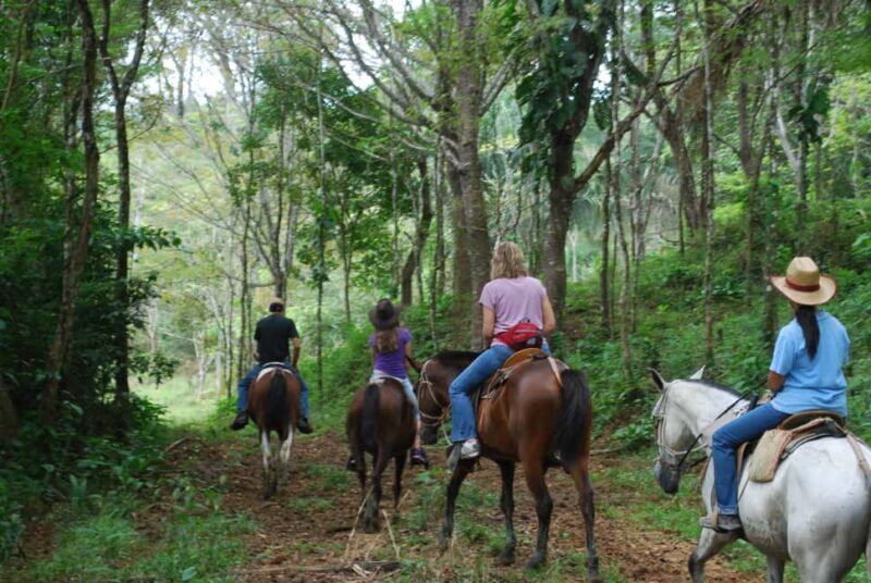 Samaná: Private Horseback Riding to El Limón Waterfall - Final Thoughts