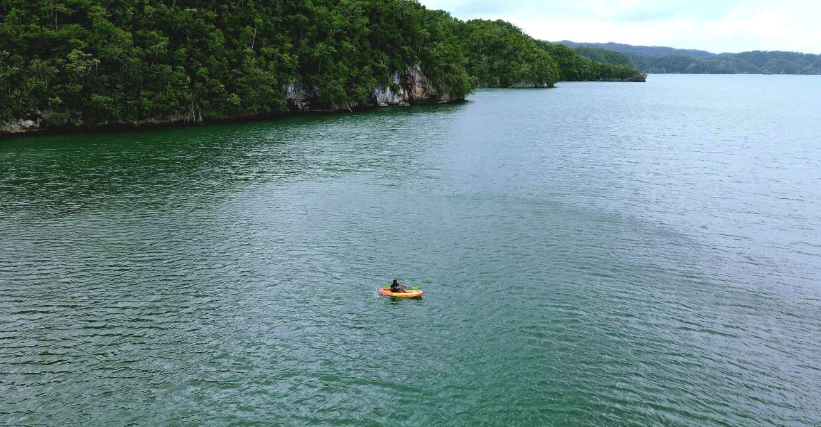Samana: Private Los Haitises Cave & Mangrove Expedition - Key Points