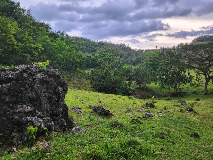 Samana: Private Los Haitises Cave & Mangrove Expedition - What to Expect During the Tour