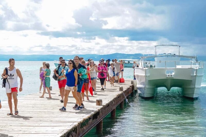 Samanà Whale Watching and Bacardi Island Tour From Bayahibe - Frequently Asked Questions