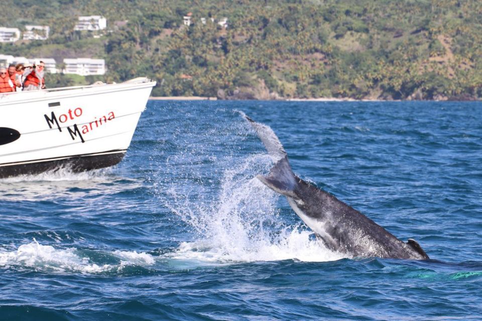 Samana: Whale Watching and Cayo Levantado Full Day Tour - Bacardi Island Exploration