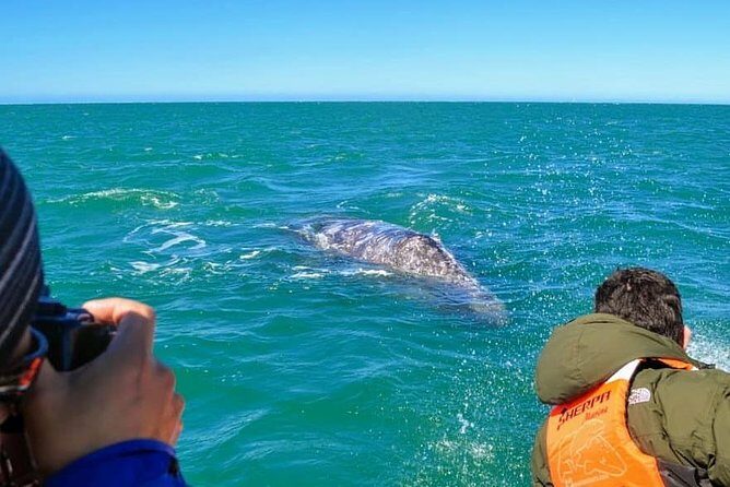 Samana Whale Watching + Cayo Levantado ( Bacardi Island) with Lunch by Locals - FAQ