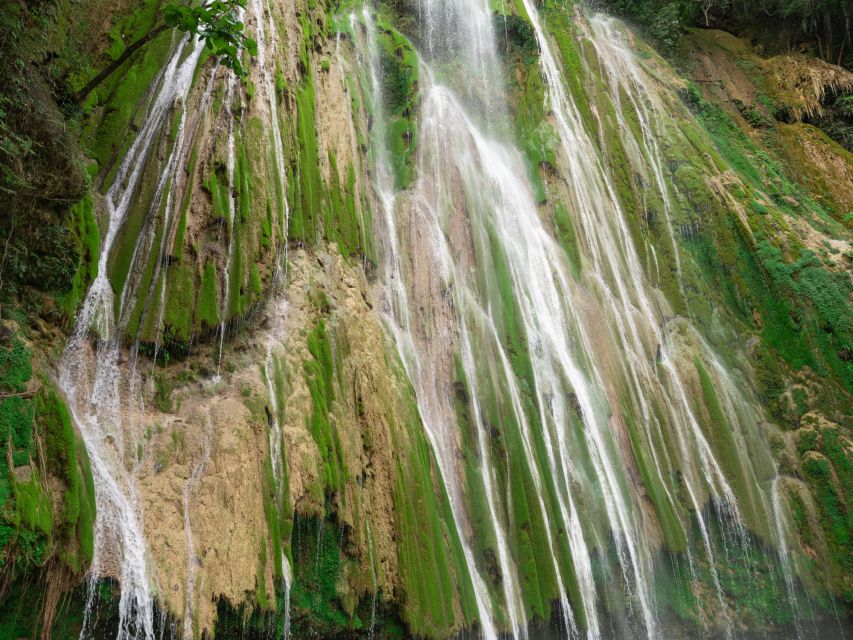 Samana: Whale Watching, Cayo Levantado & Limon Waterfall Tour - Key Points