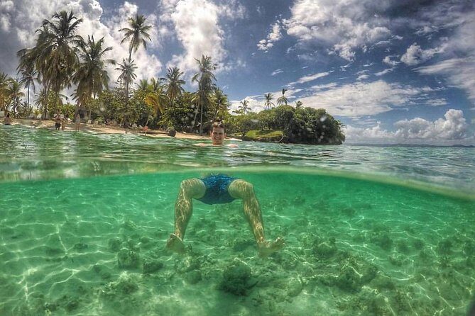 Samaná Whale Watching plus Cayo Levantado Bacardi Island - An Overview of the Tour