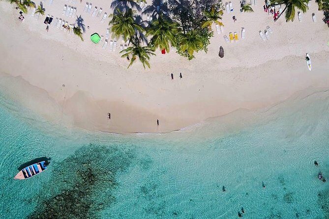 Samaná Whale Watching plus Cayo Levantado Bacardi Island - The Practical Side: What It Means for You