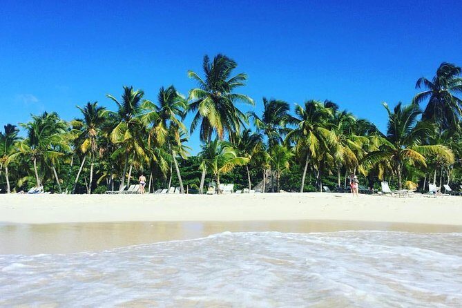 Samaná Whale Watching plus Cayo Levantado Bacardi Island - The Sum Up: Is It Worth It?