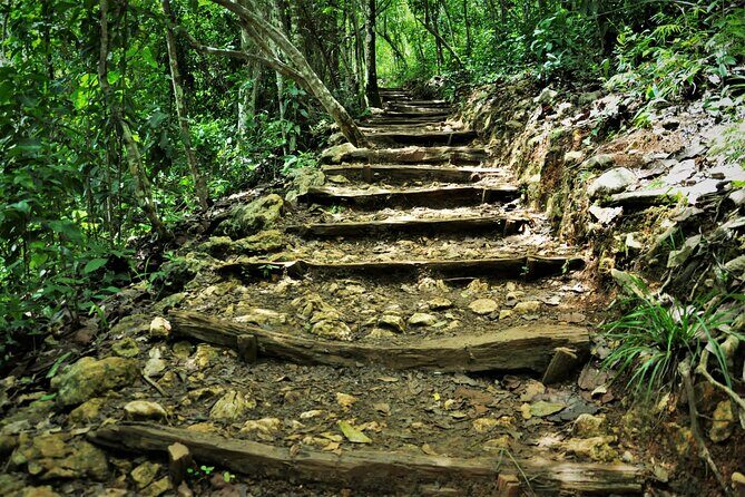 Samaná Whale Watching, waterfall & Cayo Levantado Adventure - Final Thoughts