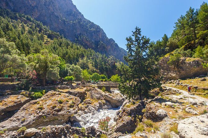 Samaria Gorge from Chania with Professional Hiking Guide - Who Should Book This Tour?