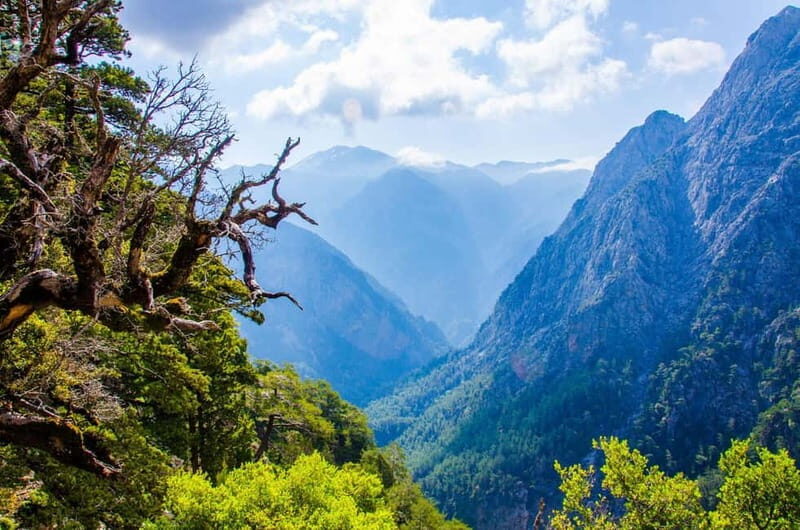 Samaria Gorge : Private Full-Day Guided Experience - Final Thoughts