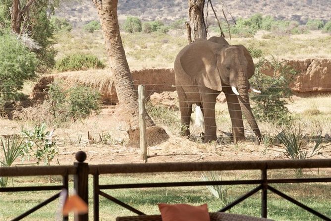 Samburu/ Aberdare/ Lake Nakuru/ Masai Mara 7 Days Safari - Transportation Details