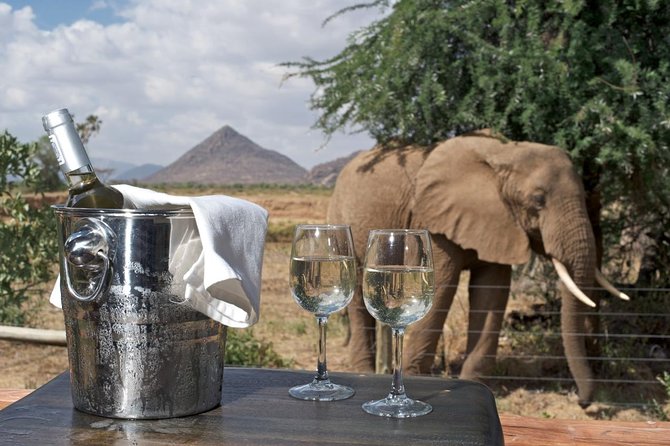 Samburu/ Aberdare/ Lake Nakuru/ Masai Mara 7 Days Safari - Accommodation Options