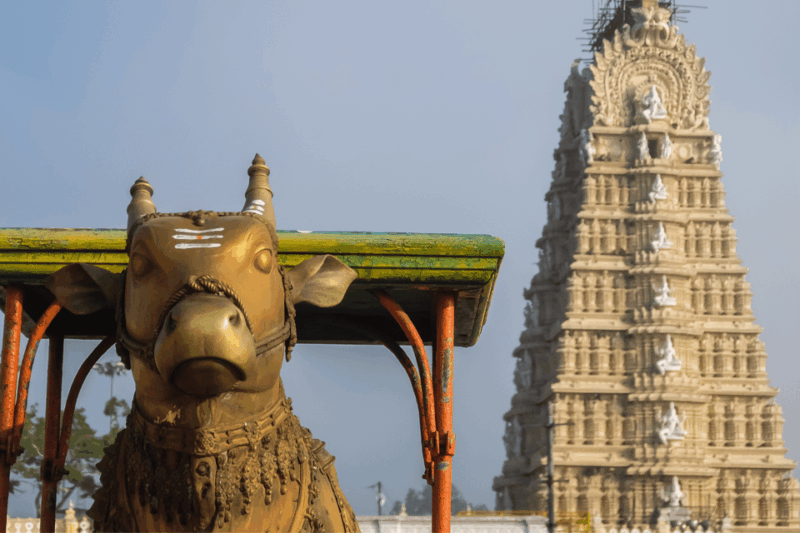 Same Day Tour of Mysore From Bengaluru (Shared Group Tour) - Important Tour Information