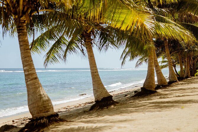 Samoa Upolu: Full Day Private Tour - Key Points