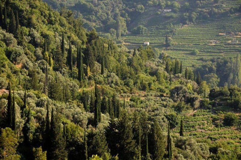Samos: Full-Day Private Sightseeing Tour - Included Services