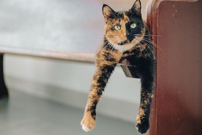 Sample our Award Winning Spirits on our Tasting Tour - Who Will Love This Tour?