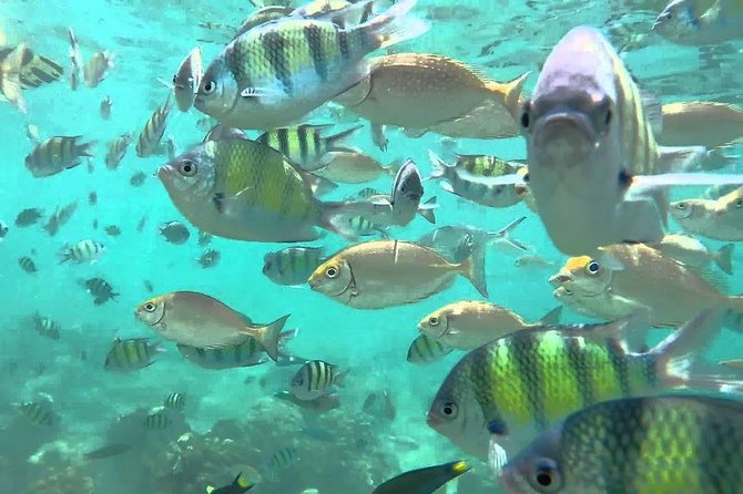 Samui Boat Charter, Private Half-Day 4 Hours Koh Phangan Cruise From Koh Samui. - Tour Highlights