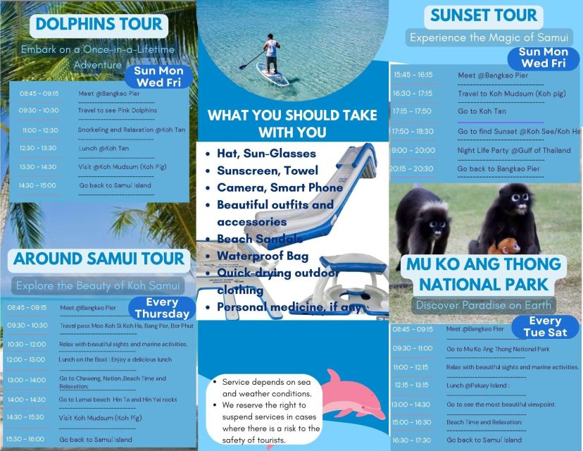 Samui Dolphins Tour by Catamaran Yacht - Yacht Features and Amenities