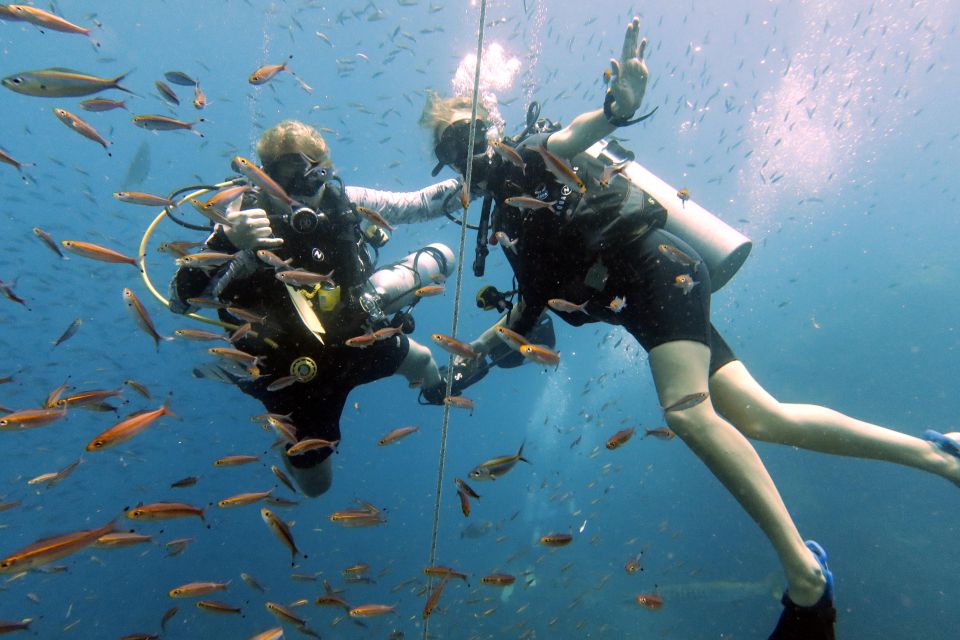 Samui: Intro Dive in Koh Tao - Inclusions and Amenities