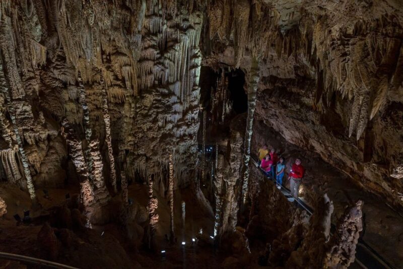 San Antonio: Discovery Tour at Natural Bridge Caverns - What to Expect on the Cavern Tour
