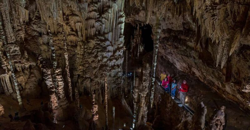 San Antonio: Discovery Tour at Natural Bridge Caverns - The Value of the Experience