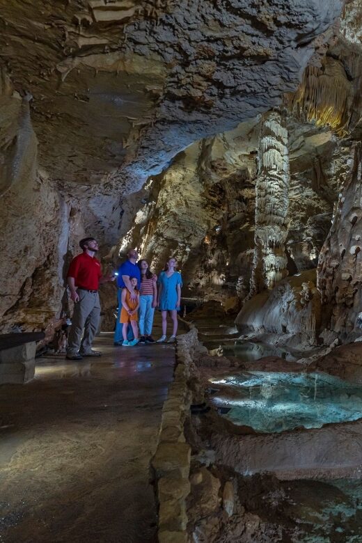 San Antonio: Discovery Tour at Natural Bridge Caverns - The Sum Up