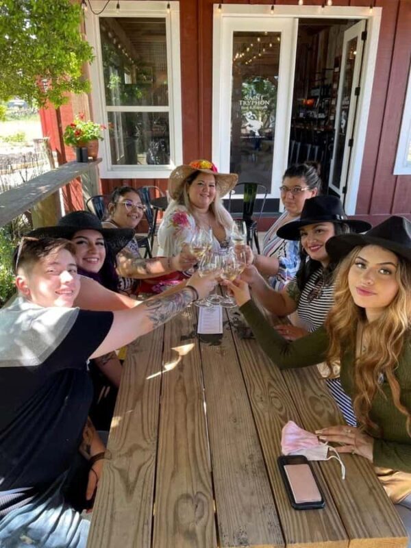 San Antonio: Hill Country Wine Tour & Fredericksburg Visit - Analyzing the Value