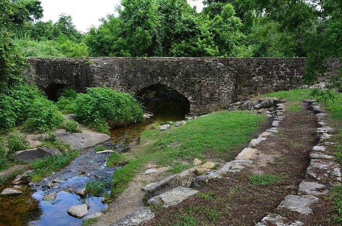 San Antonio Mission Trail Private Guided Tour - The Sum Up