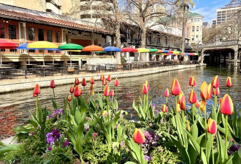 San Antonio: Riverwalk and Downtown Guided Walking Tour - An Insider’s Look at the San Antonio Guided Walking Tour