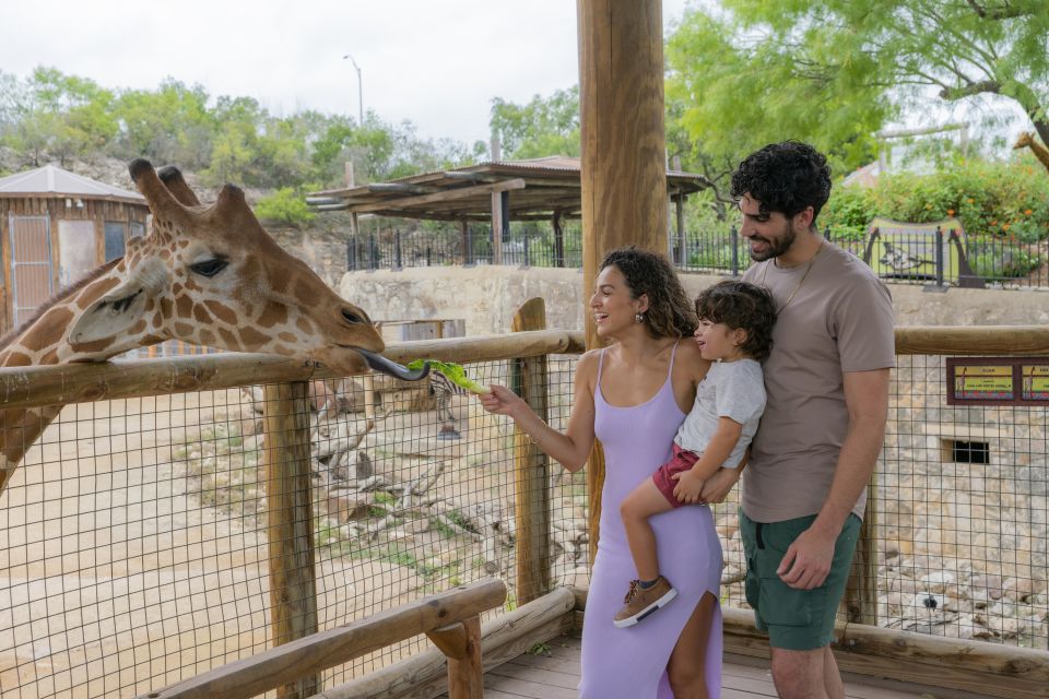 San Antonio: San Antonio Zoo Any Day Ticket - Themed Exhibit Habitats