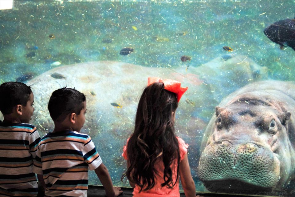 San Antonio: San Antonio Zoo Any Day Ticket - Bird-Watching and Exploration