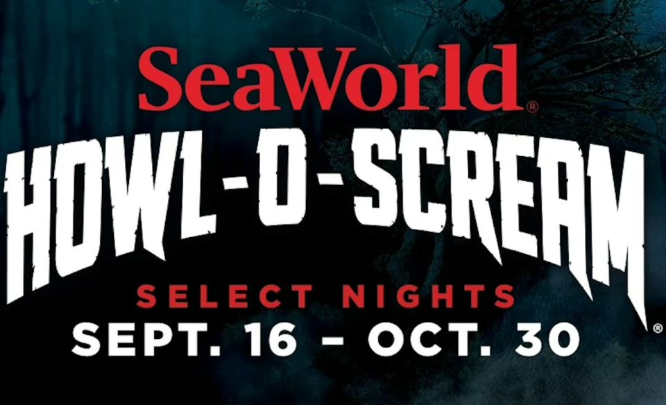 San Antonio: SeaWorld Skip-the-Line Park Admission Ticket - Marvel at Killer Whales and Dolphins