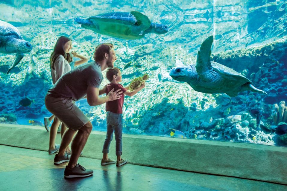 San Antonio: SeaWorld Skip-the-Line Park Admission Ticket - Ride Thrilling Roller Coasters