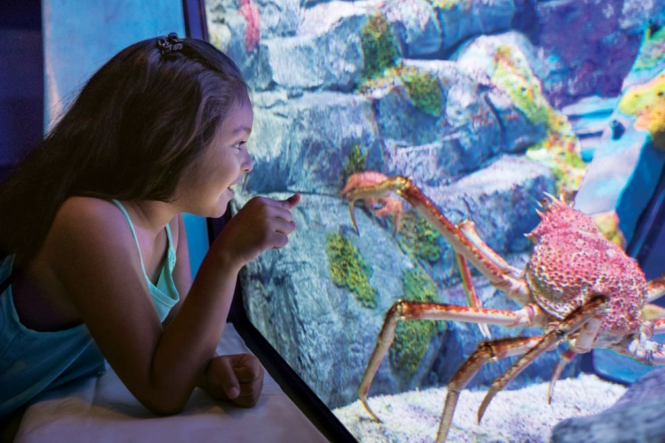 San Antonio: SeaWorld Skip-the-Line Park Admission Ticket - Brave Haunted Houses and Coasters