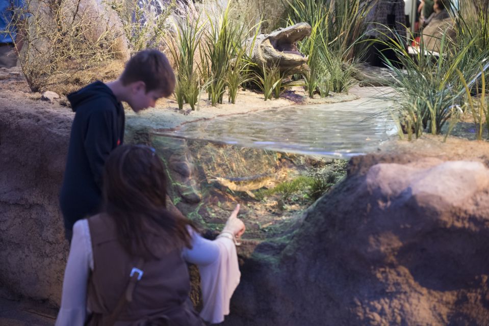 San Antonio: Witte Museum Admission Ticket - Key Points