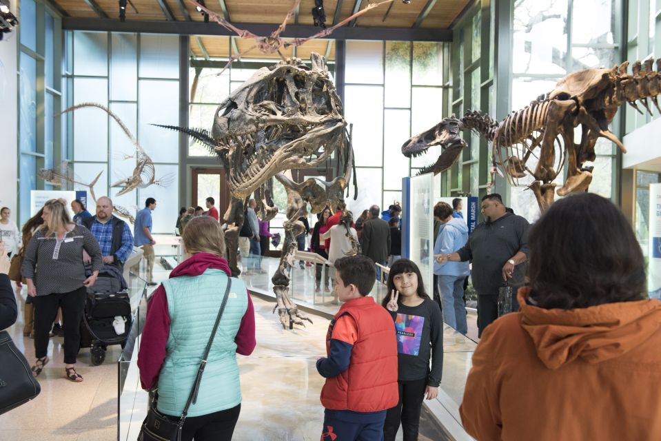 San Antonio: Witte Museum Admission Ticket - Immersive Learning Experience at the Museum