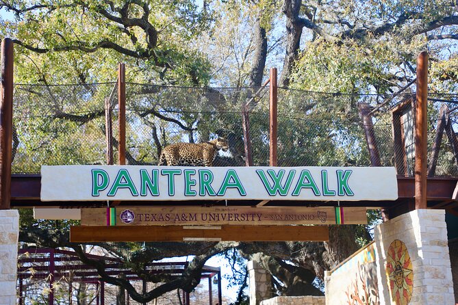 San Antonio Zoo General Admission Ticket - Operational Hours and Schedule