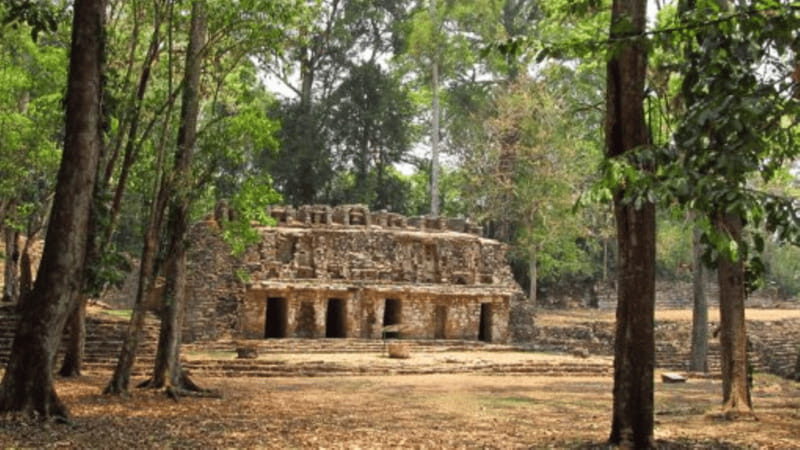 San Cristobal: 3 Days Expedition of North Lacandona Jungle - Key Points